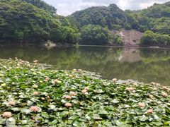 -广州市石门国家森林公园