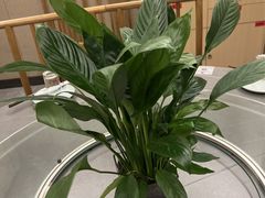 -李赵合鲜肉烧烤(西荷店)