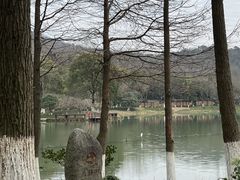 -八卦田遗址公园