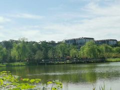 -西海子公园