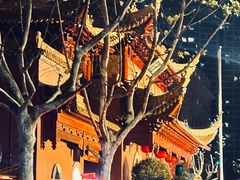 -钦赐仰殿道观