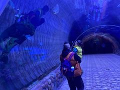 -华夏文旅海洋公园