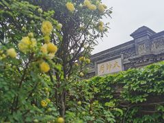 -张学良旧居陈列馆