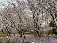 -白塘生态植物园