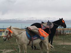 -青海湖国家重点风景名胜区