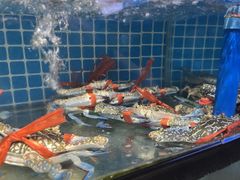 -四川小胡子海鲜(丁村万人海鲜广场店)