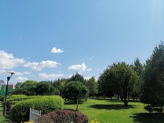 -普兰达德国餐厅·德式脆皮烤猪肘·自酿啤酒(观唐店)