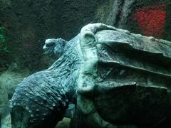 -太平洋海底世界