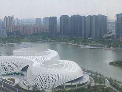 -金沙湖公园