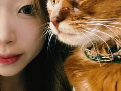 -猫小院猫主题餐厅(南锣旗舰店)