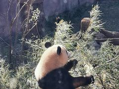 -杭州动物园