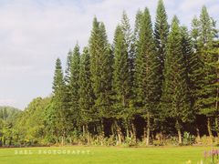-深圳仙湖植物园-停车场