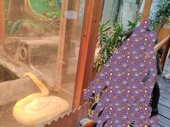 -上海大自然野生昆虫馆