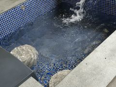 -碧桂园润杨溪谷温泉酒店