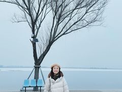 -白洋淀景区