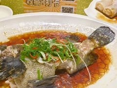 -顺轩海鲜火锅酒家