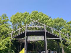 -天目湖山水园