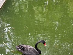 -南宁荔园维景国际酒店·荔园中餐厅