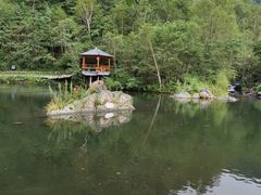 -凤凰山国家森林公园