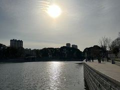 -葛仙湖公园