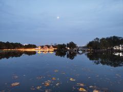 -长春市南湖公园