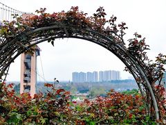 -漫花庄园