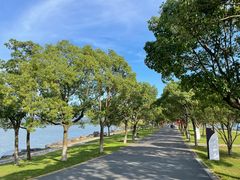 -东钱湖小普陀景区