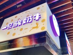 门面-一只酸奶牛(来福士店)