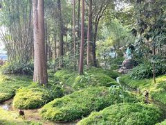 -成都市活水公园
