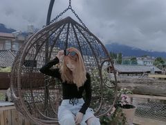 -喵屿·大理花园猫咖