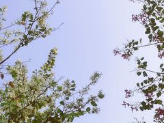 -白鹭洲公园