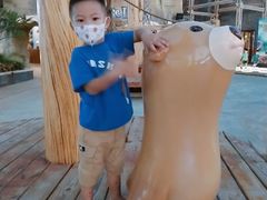 -三亚海昌梦幻海洋不夜城