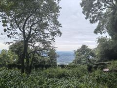 -窦圌山风景区