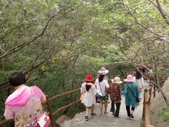 -大青沟风景区