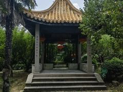 -雨花胜境