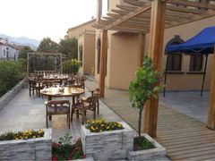 iphone_upload_pic-大锅强·蒸海鲜青岛菜(吾悦广场店)