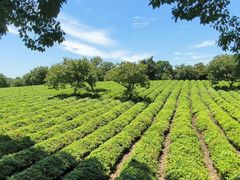 -敬亭山风景名胜区