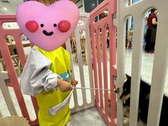 -柴犬小屋·柴餐厅·狗咖食堂(金鼎广场店)