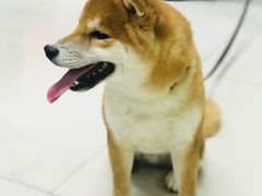 -乐宠宠物店(世纪金源店)