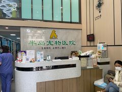 -半岛宠物医院24小时(科华中路店)