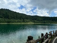 -武陵山森林公园