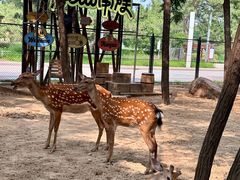 -南戴河国际娱乐中心