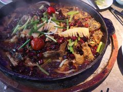 -老板恋上鱼(恒隆广场店)