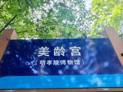 -灵谷景区