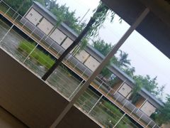 -午后庭院
