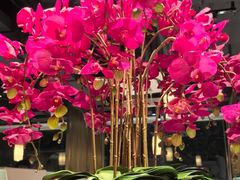 -纯味斑鱼府(上海总店)