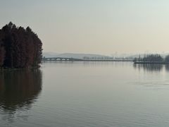 -东湖落雁景区