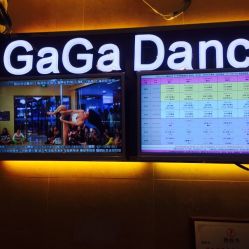 上海轩依钢管舞学校(长寿路总校)-轩依钢管舞