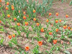 -长春公园(普阳街道)