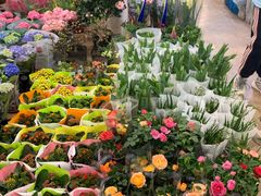 -双季花艺园艺市场(浦东店)